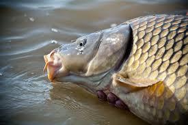 Interesant II :P - images1.jpeg